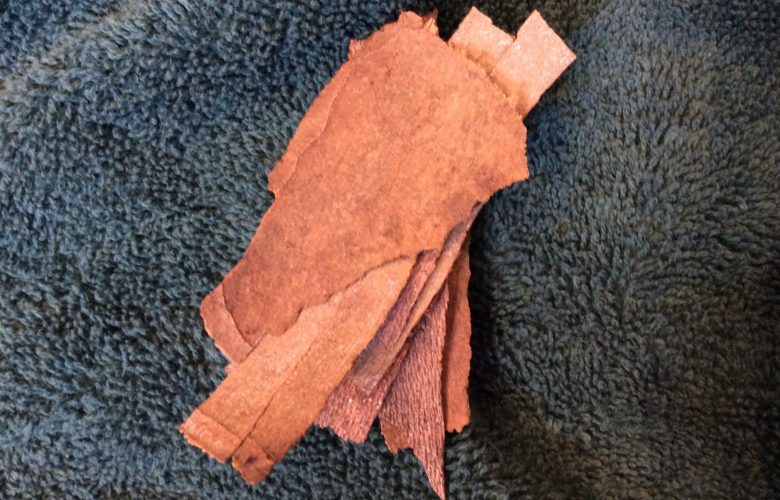 Bark
